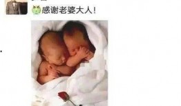 爆料生双胞胎视频,双喜临门！揭秘明星夫妻喜得双胞胎的甜蜜瞬间